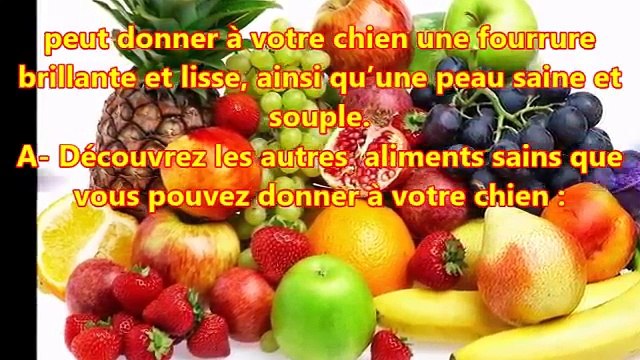 Les aliments sains et les aliments toxiques pour les chiens