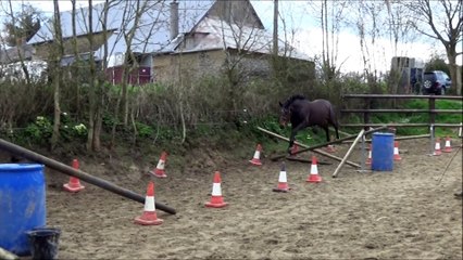 Falkho des Edènes entraînement 3