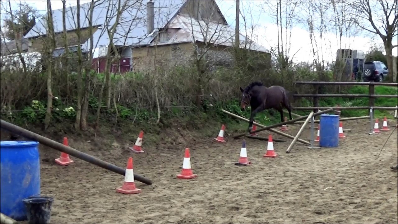 Falkho des Edènes entraînement 3