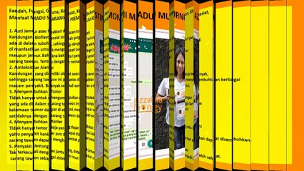 Garansi Uang Kembali, WA +62 813-9855-0306, Sarang Lebah Madu