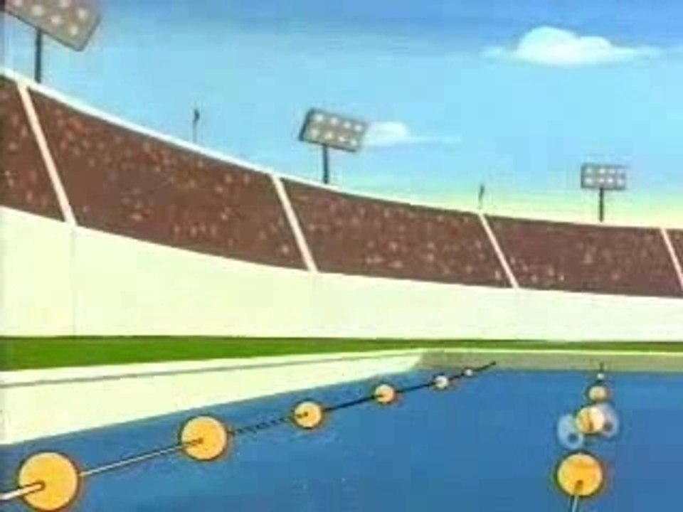 The Wacky World Of Sports