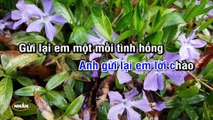 Tình Nhỏ Mau Quên (Karaoke Beat) - Tone Nam