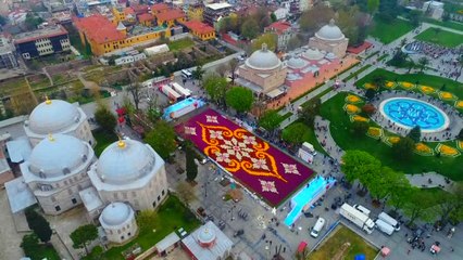 Dünyanın en büyük lale halısı havadan görüntülendi
