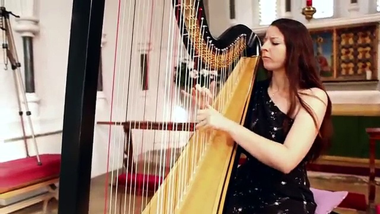 J.S. Bach - Toccata and Fugue in D Minor BWV 565 // Amy Turk, Harp - 動画  Dailymotion