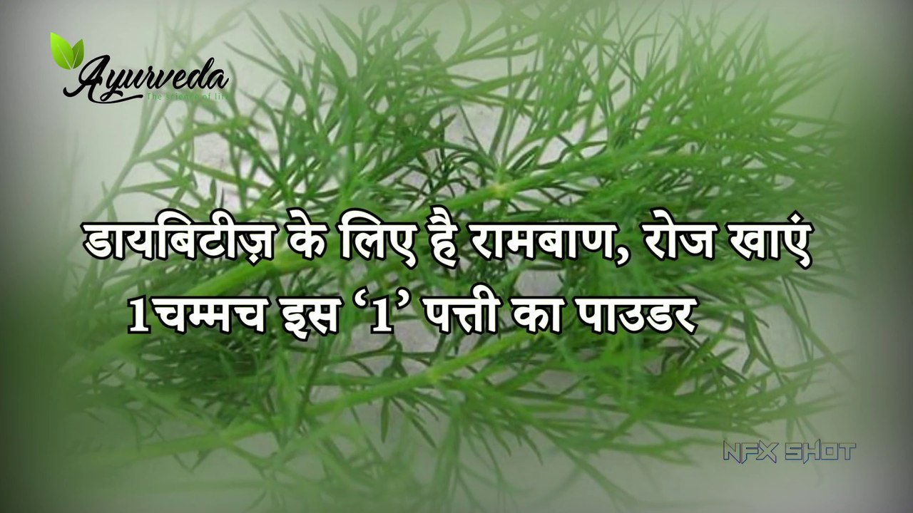 Diabetes Cure डायबिटीज़ के लिए है रामबाण वीडियो - Ayurveda   The Science Of life