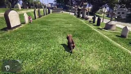 Пасхалки в играх #9 [Easter Eggs]