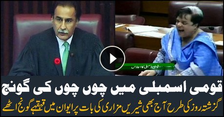 Shireen Mazari's funny exchange of words with Speaker National Assembly yesterday discussed in National Assembly again