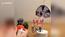 This parrot is a basketball prodigy