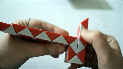 Chien (Magic cube puzzle)