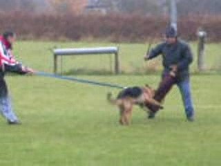 10 nov2007 entrainement 022