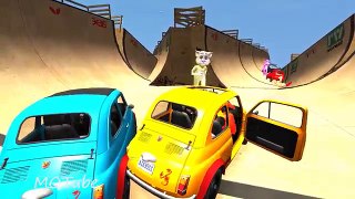 COLORS FUN CARS WITH COLORS CATS LEARNING COLORS FOR KIDS NURSERY RHYMES FOR CHILDREN