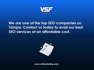 Tampa Based SEO Organization - VSF Marketing