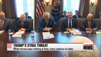 White House says nothing is final, many options on table over Syrian crisis