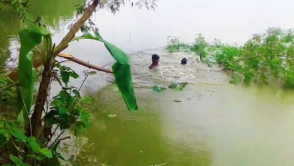 Best Fun Video Compilation 2018 Bangla Funny Video Clip People doing stupid thingTry not to laugh