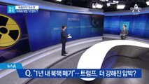 [뉴스분석]“1년 내 북핵 폐기” 트럼프식 속도전