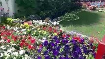 بہار کی آمد سے ہر طرف پھول ہی پھول دیکھ کر دل باغ باغ ہوجاتا ہے۔ دیکھئے خصوصی رپورٹ فرحان خان کے ساتھ