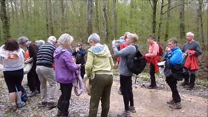 AVRIL 2018 - 21 marcheurs en forêt de VIERZON