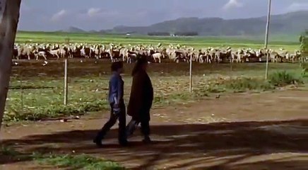 Das Glück am anderen Ende der Welt 2 part 1/2