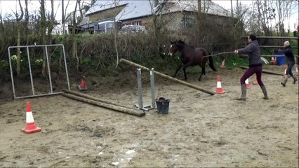 Grizehys des Edènes 2ans découverte des barres