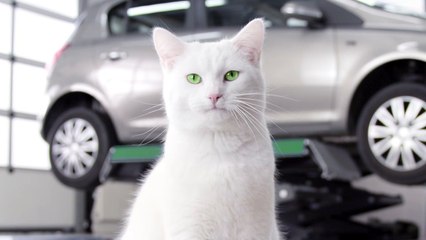 FEU VERT_Contrat d'entretien_25SEC_Version-PAUL_180319_MixWEB_720p