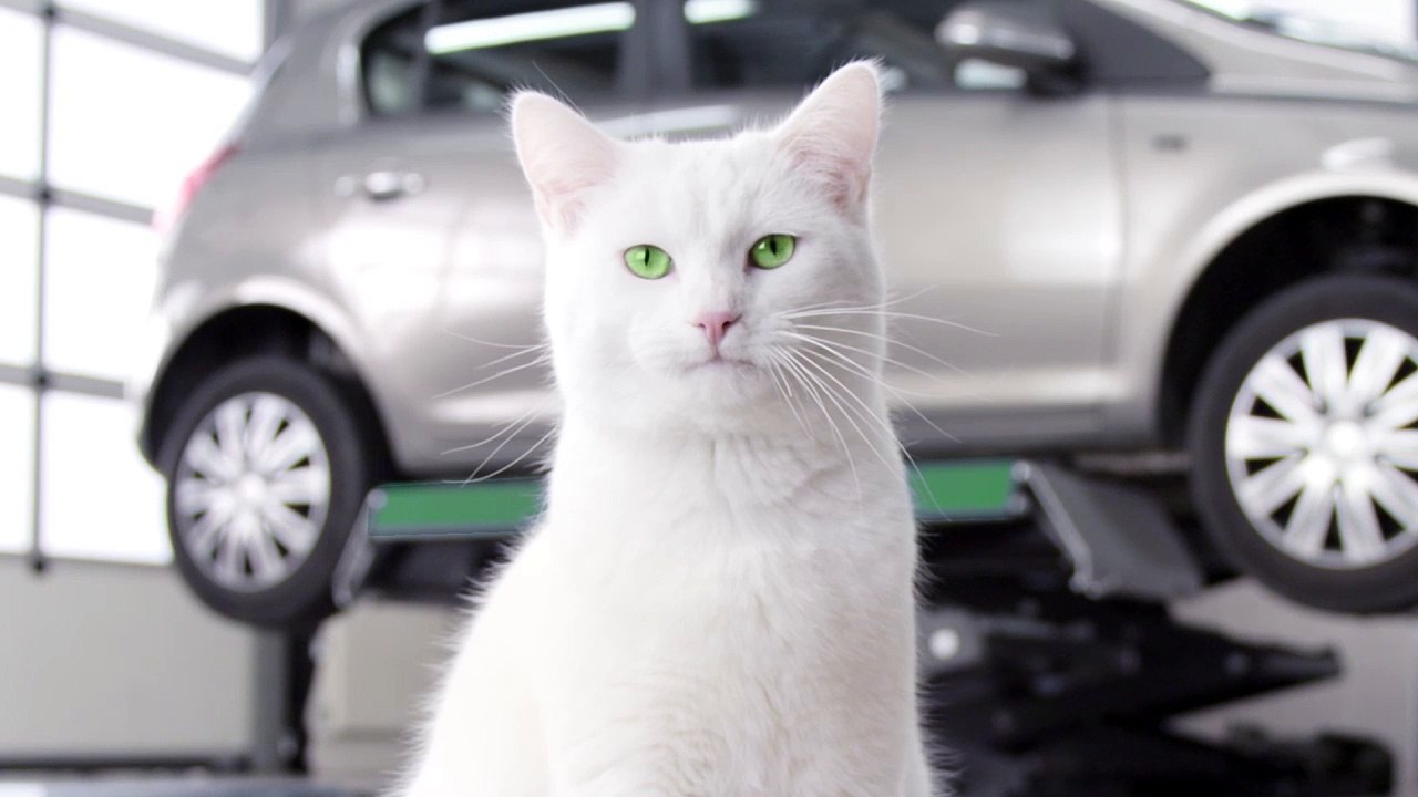 FEU VERT_Contrat d'entretien_25SEC_Version-PAUL_180319_MixWEB_720p