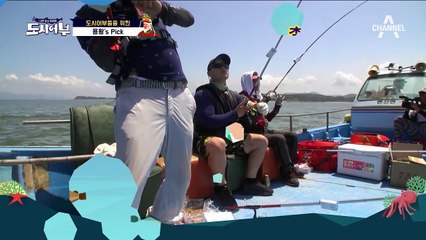 누구냐...넌 홍대치?! 용왕님이 물려주신 용왕's Pick