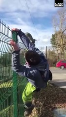 This is the best thing I've seen all week 