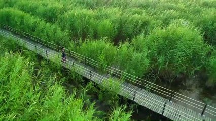 Kayseri'nin Güzellikleri Drone ile Görüntülendi