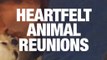 Animal Reunions That Will Melt Your Heart