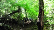 SAB.29-7-17- IL BOSCO DEL SASSETO, TORRE ALFINA E MONTE RUFENO NEL LAZIO PROV.DI VITERBO.