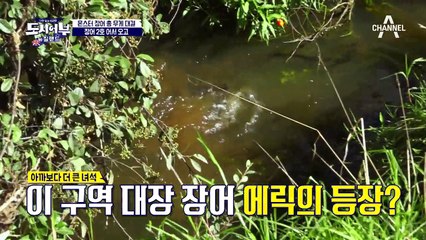 (예민경규vs버럭마닷vs투덜덕화) 장어 2호, 3호 놓치고 난장판 그 자체!