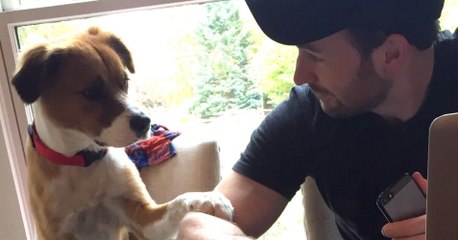 Chris Evans Shares Touching Video Of The Moment He Met His Rescue Dog