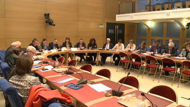 [Mineurs enfermés] Mission d'information sur la réinsertion des mineurs enfermés