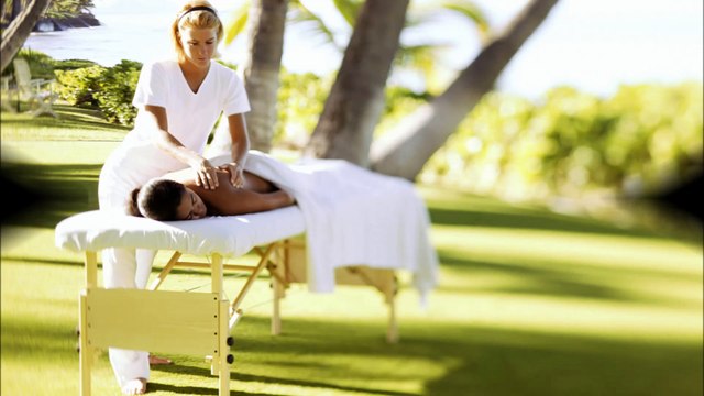 Shirley Massage Therapy (281) 344-2269