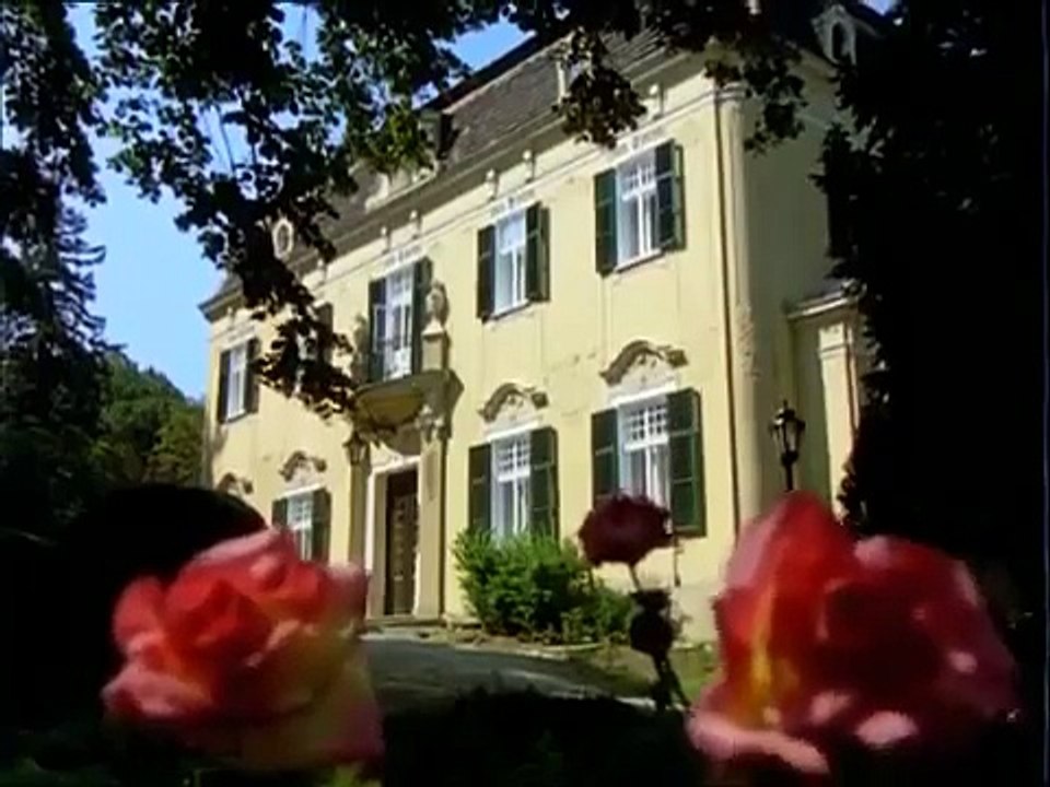 Kaisermühlen Blues 37 Der Fremde