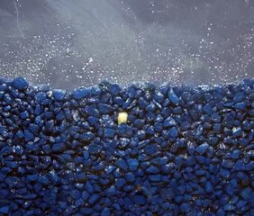 Time Lapse de la croissance d'une plante