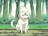 amv Akamaru