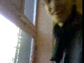 Vidéo-0032