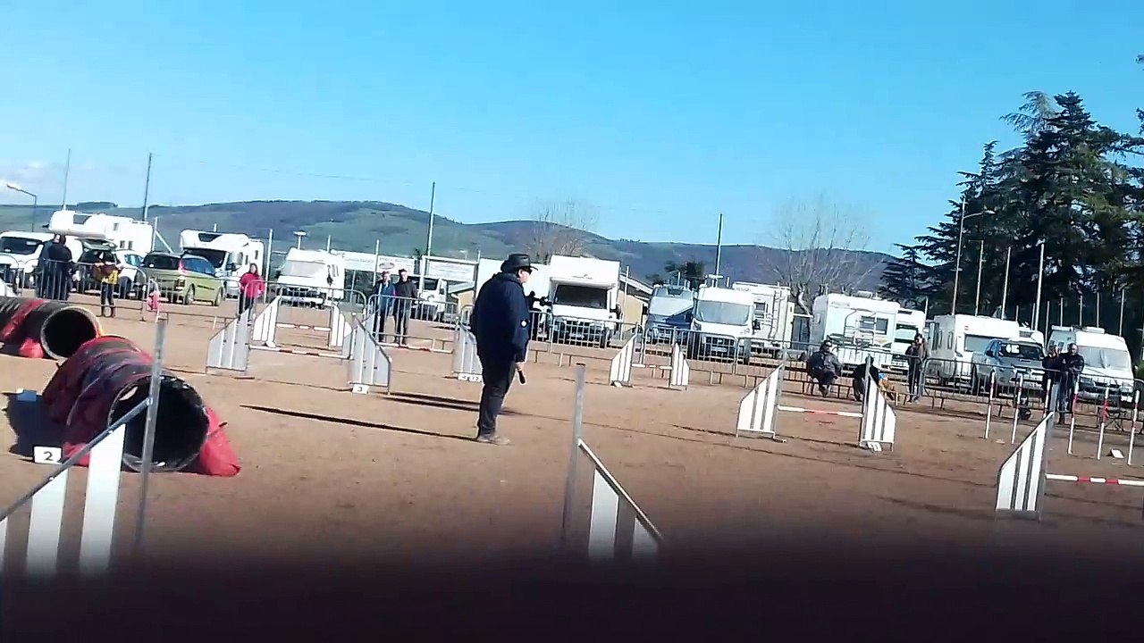20180401_170120_St-Martin-la-Plaine_agility_jump-stand-B_Lilas