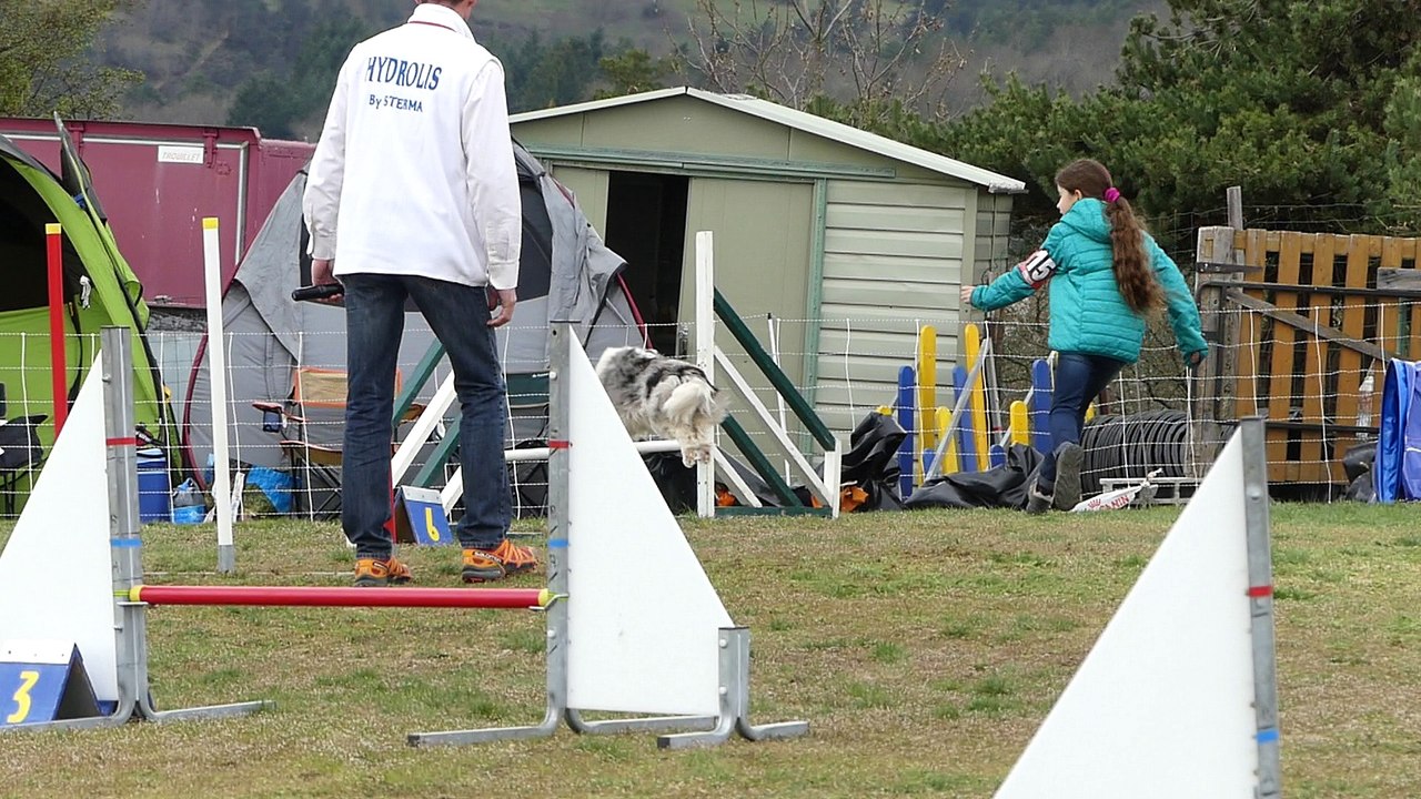 20180408P1040707_Malvalette_agility_grade2_A_Heaven_Eryne