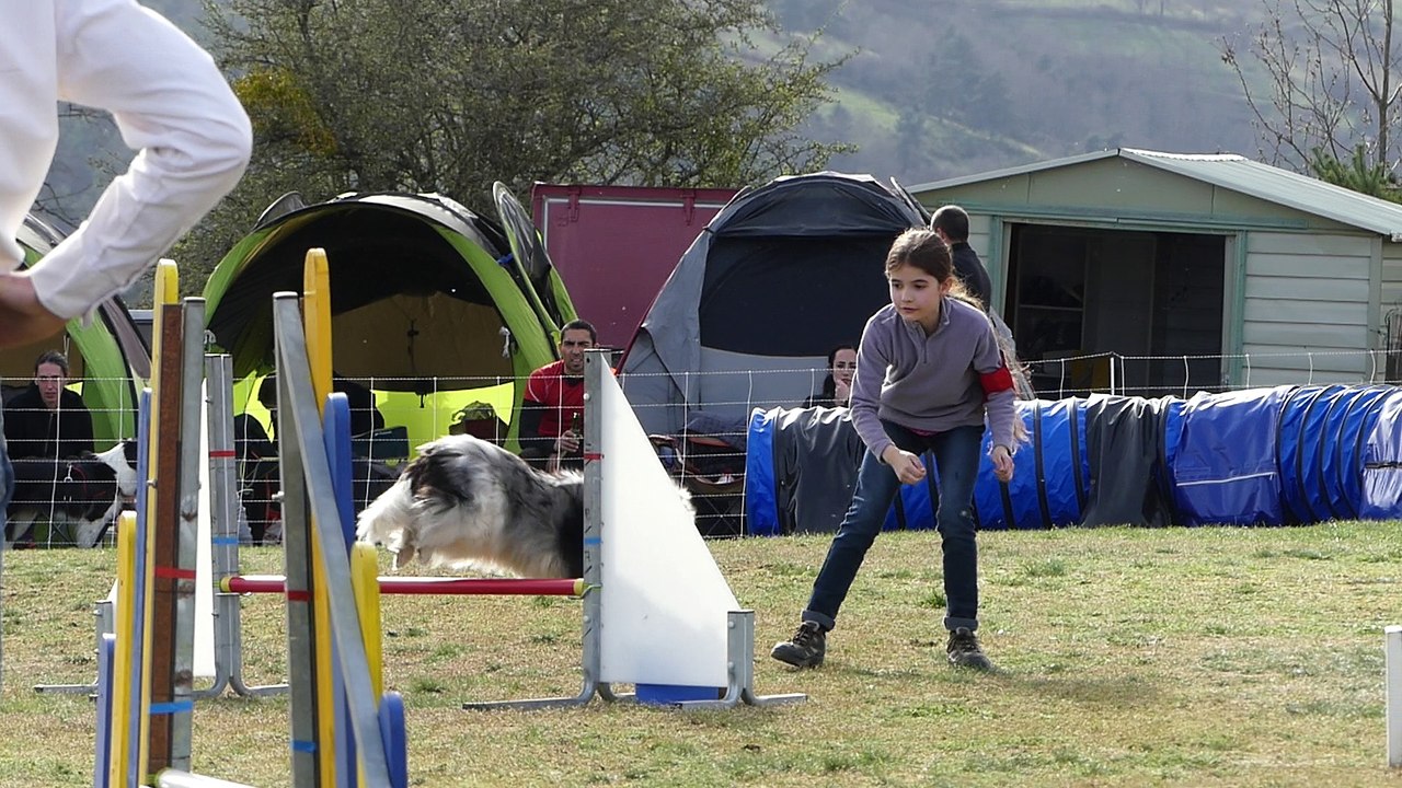 20180408P1040711_Malvalette_agility_jump-standard_A_Heaven_Eryne