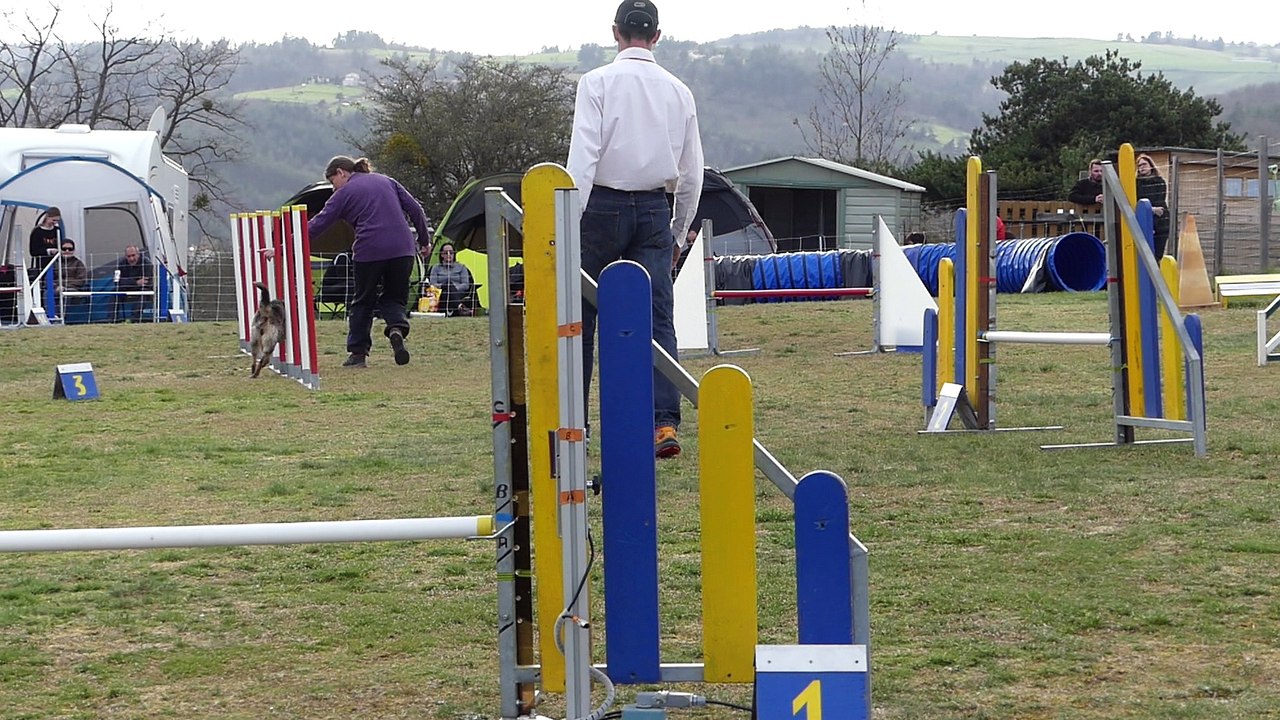 20180408P1040713_Malvalette_agility_jump-standard_B_Lilas