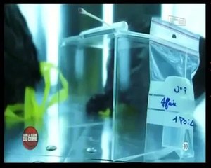 Reportage - Scene Du Crime - Decouverte Macabre