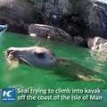 Man captures video of a grey seal trying to climb into his kayak while off the coast of the Isle of Man.