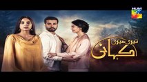 Teri Meri Kahani Episode #17 Promo HUM TV Drama