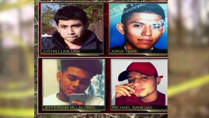 Residents Say $20M Promised to Help Fight MS-13 on Long Island Not Enough