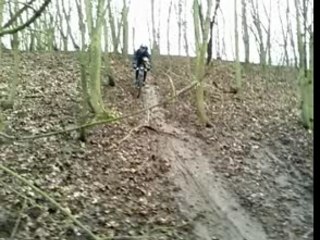 Descente VTT parcours du carrefour de l'arbre 2