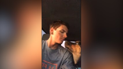 A este perro le encanta que su dueño le dé besos