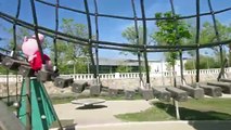 Peppa Pig en el tobogán gigante | Vídeos de Peppa Pig en el parque en español