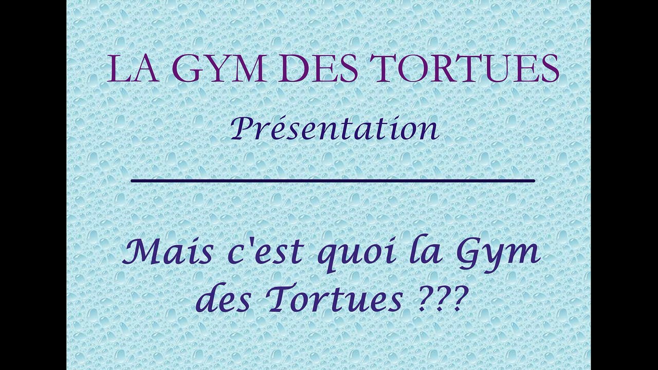 Présentation de la GYM des TORTUES